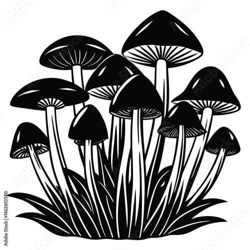 mushrooms on black background