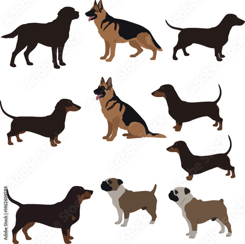 Dog breeds collection with dachshund german shepherd and bulldog vector illustration set 
