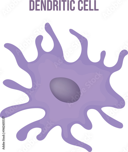 Blood cell vector illustration. Dendritic cell. Anatomy, biology, science concept vector illustration.