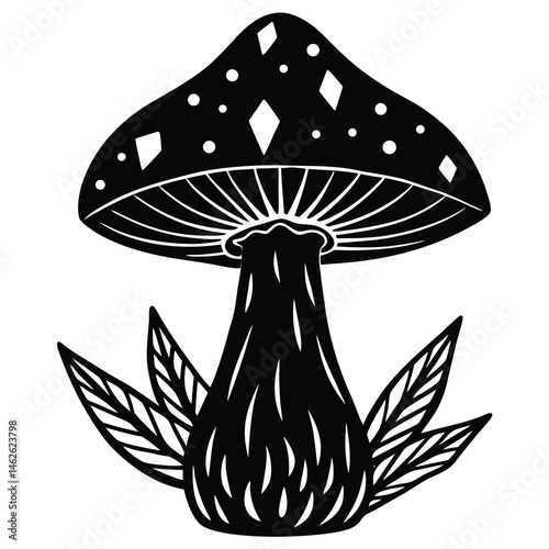 mushroom and mushrooms