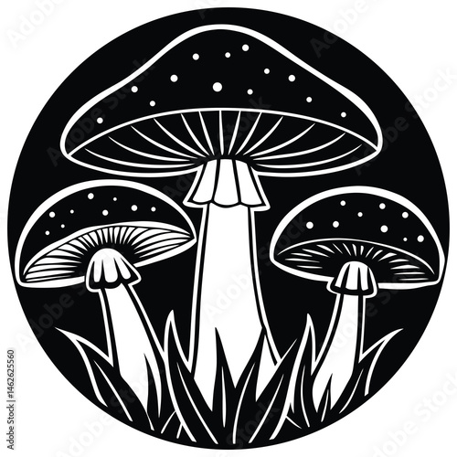 mushrooms in the grass