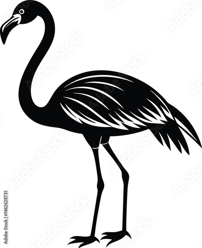 vector illustration of a flamingo