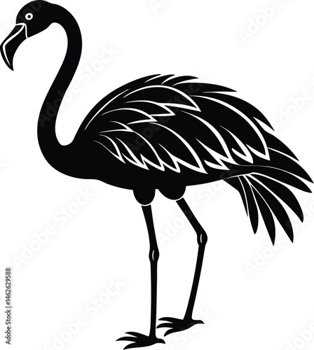 flamingo silhouette isolated on white