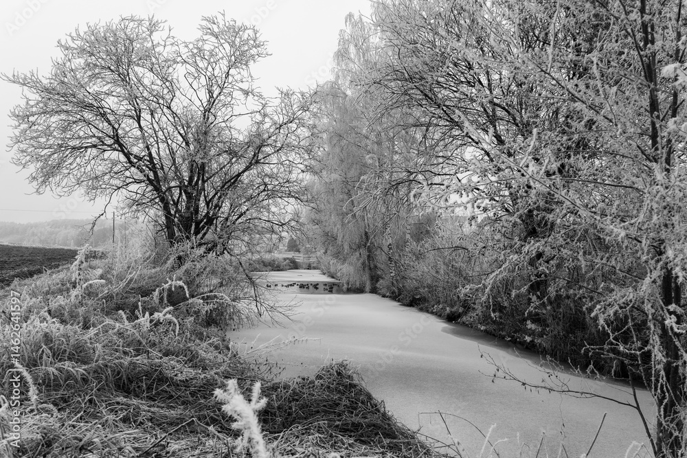 Obraz premium Frostige Herbst / Winterlandschaft 