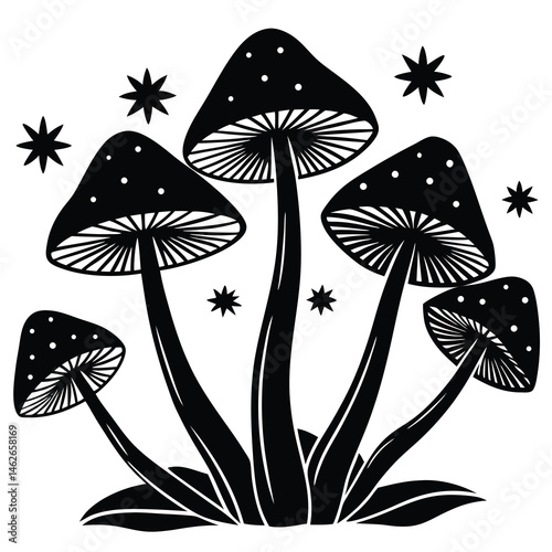 set of black and white flowers