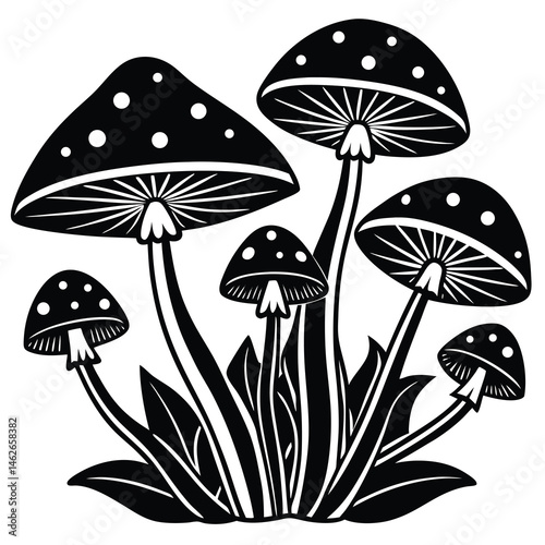 mushrooms on grass