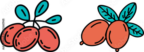 Traditional Argan Nuts Illustrated: Flat Vector Representation of Moroccan Beauty Secret in Vibrant Coral Red and Turquoise for Natural Cosmetic Branding