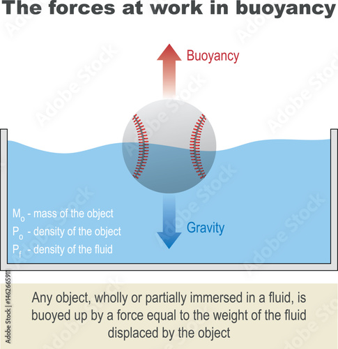 The forces at work in buoyancy. Gravity and Buoyancy. Archimedes' principle. ball floating in a glass.   Mass, and density. Physics