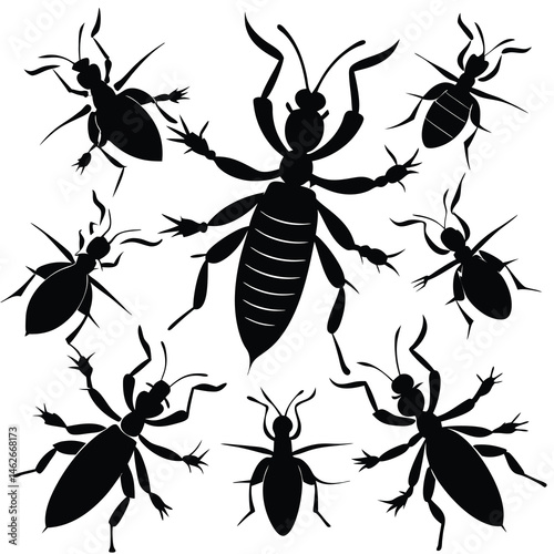 set of insects