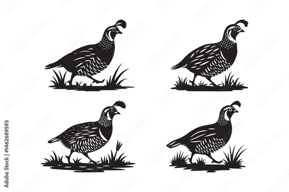 Obraz premium Quail Silhouette Vector Collection Elegant Game Bird Clipart Set