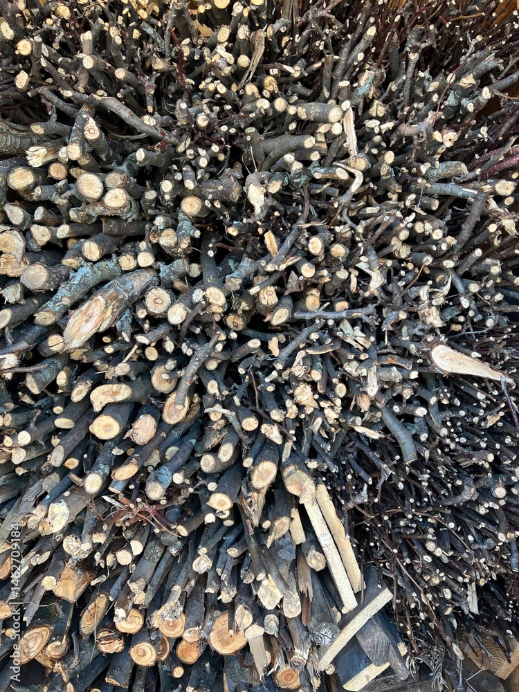 Firewood in the woodshed, preparation for the heating season in the village. Warm, brown colors, rustic style