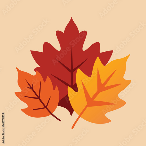 Isolated on white, a vibrant autumn maple leaf, a vector illustration of fall foliage
