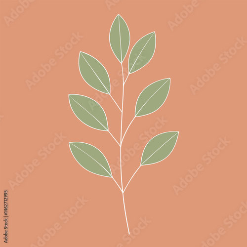 Green spring leaves on a natural tree branch, a vector illustration of floral plant design