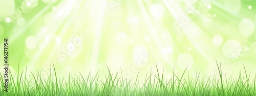 Lush green grass under a bright, sunlit sky