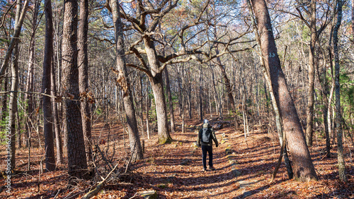 A man is hiking at Fort Mountain Trails, Chatsworth, GA, US. The person seems soaking in the autumn vibe of red, yellow and brown leaves. It is chilly, and or sometimes rainy during the fall. 