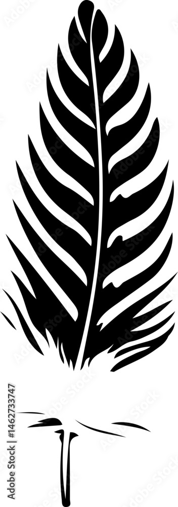Fototapeta premium Black feather silhouettes in various shapes and styles, including curved, pointed, rounded, and detailed designs