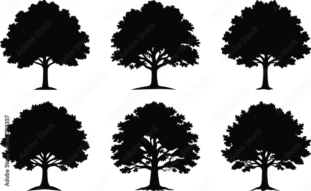 Fototapeta premium Tree silhouettes set of vector bundle isolated on white background
