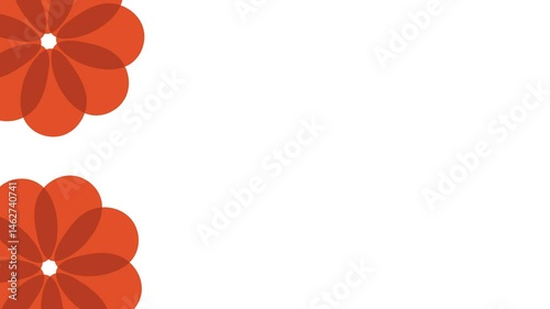 Floral animation on corner of white blank background