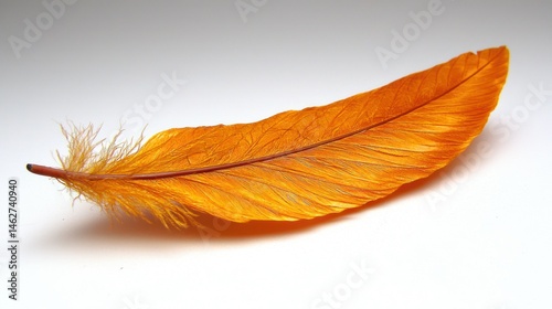 Bright orange feather with delicate barbs & stem