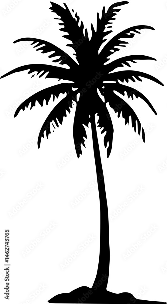 Obraz premium silhouette of coconut tree