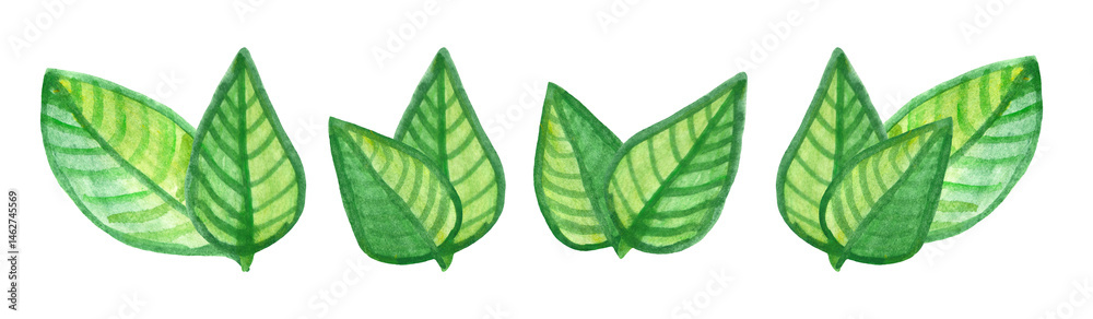 Set of watercolor green leaves. Watercolor design element.
