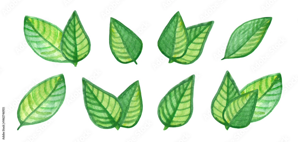 Set of watercolor green leaves. Watercolor design element.