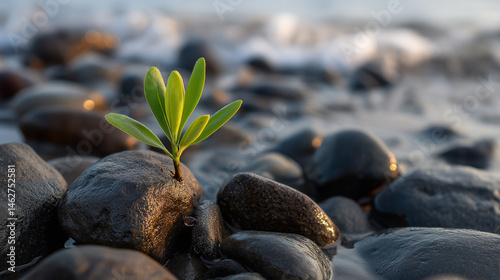 Obraz na płótnie A resilient sprout emerging from weathered rocks at dawn w salonie
