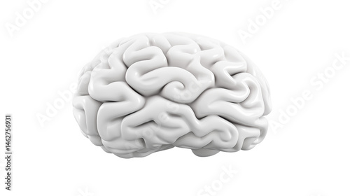 A white brain model displayed on a black background in a studio shot for medical illustrations