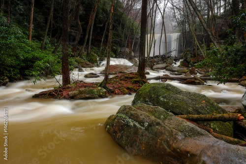 River waterfall in the forest