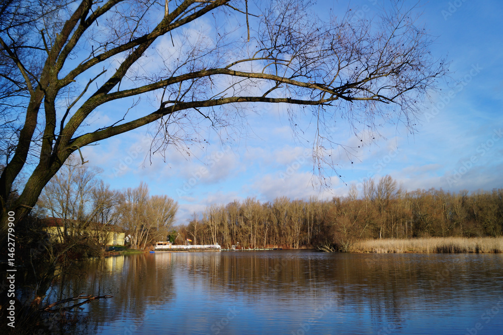 Fototapeta premium See, Baum, Ufer, Natur, Himmel, Landschaft, Winter