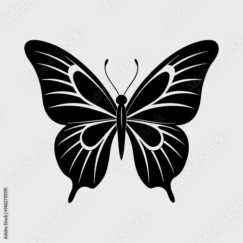 vector silhouette of a butterfly in flight vector illustration