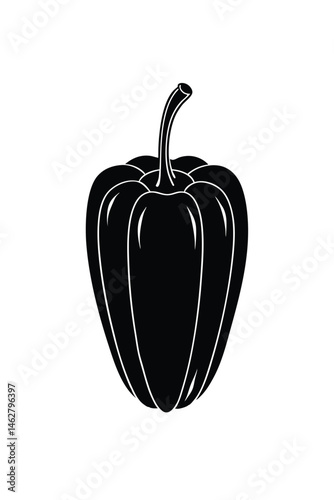 bell pepper vector illustration