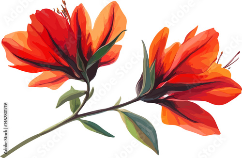 Illustration of Orange Alstroemeria Flowers