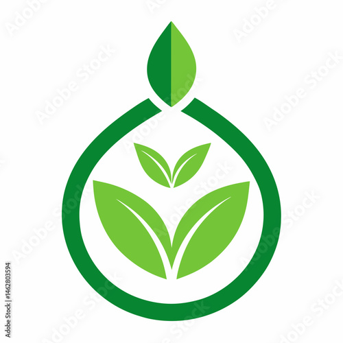 Organic icon on white background 