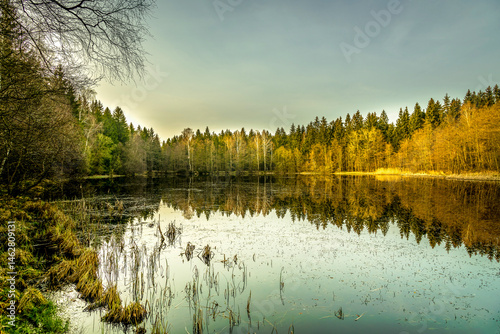 Obraz na płótnie Lake in the forest. Forest lake landscape w salonie