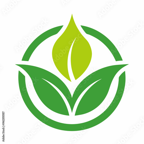 Organic icon on white background 