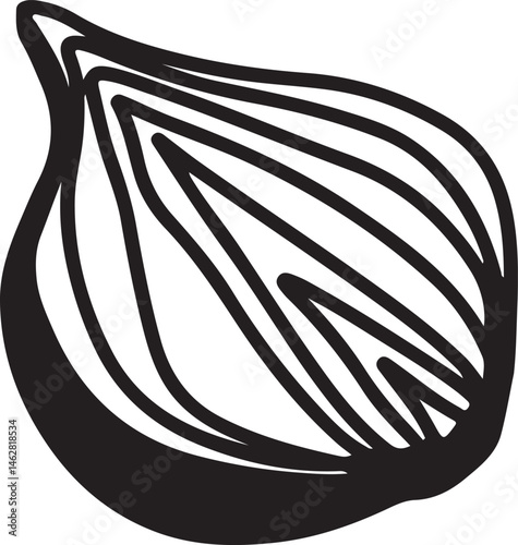 Onion drawing, engraving, ink, line art, vector