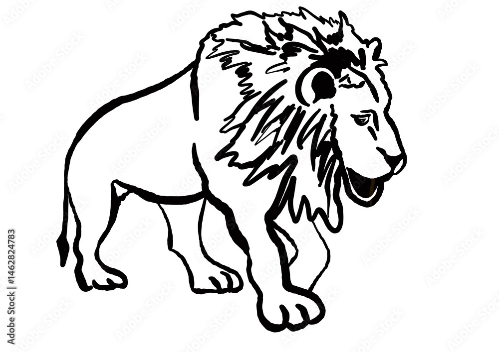 an illustration of a lion