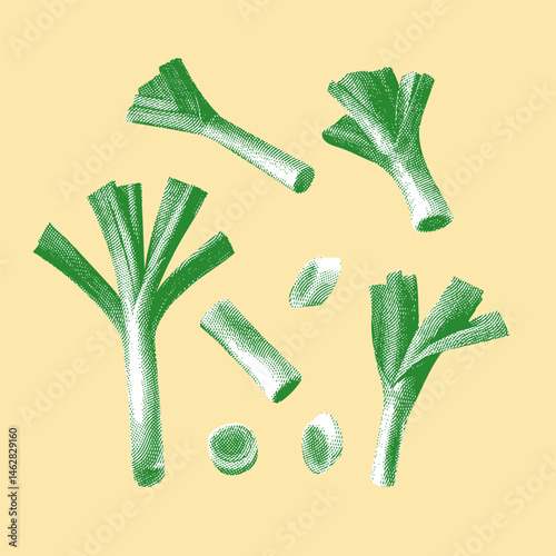 Leek, leek vector, leek illustration, line drawing on yellow background.