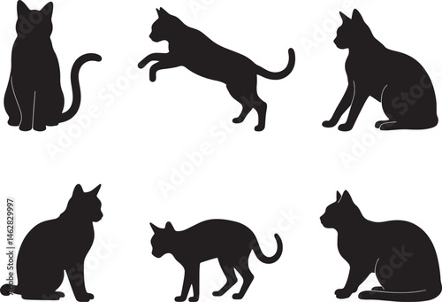  Playful Cat Silhouette Collection