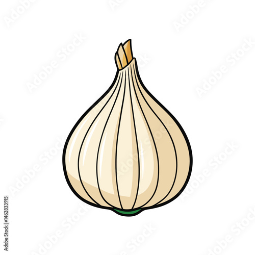 onion isolated on white background