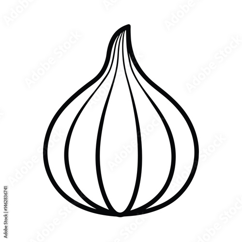 onion isolated on white background
