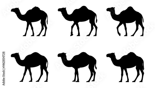 Camel silhouette vector desert animal illustration