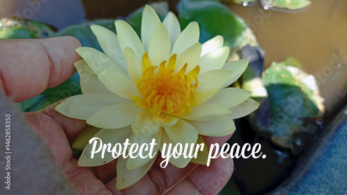 Spiritual inspirational quote - Protect your peace. On background of person holding yellow lotus flower in hand on a pond. Life harmony and balance concept. Self love and care.