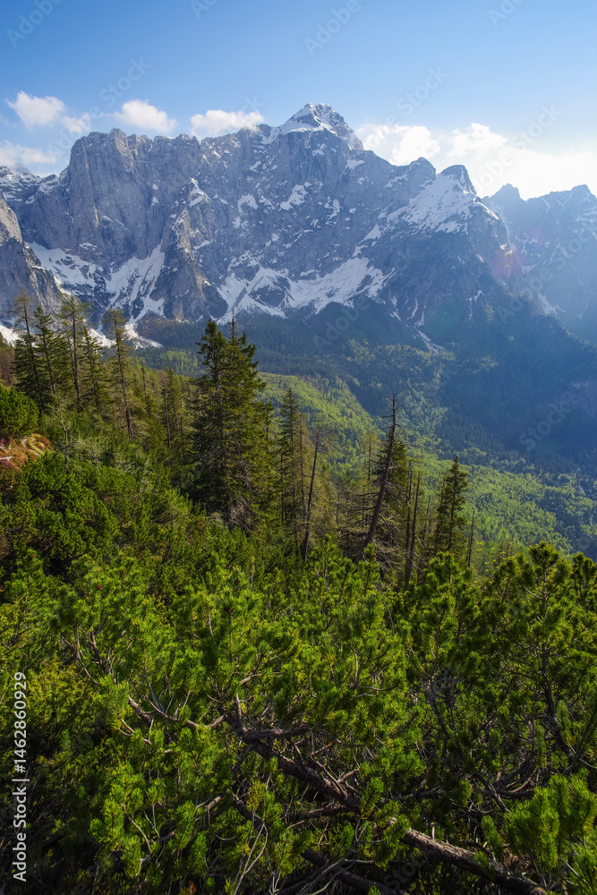 Scenic summer landscape of Mangart mountain (2679m), Triglav National Park, Julian Alps, Europe