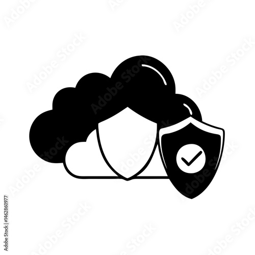 Secure cloud computing with data protection and verified information with a shield