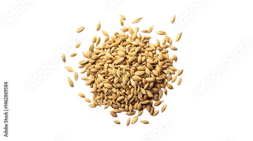 High-Texture Fennel Seeds Centered, Yellowish Tones, Clean and Crisp Background