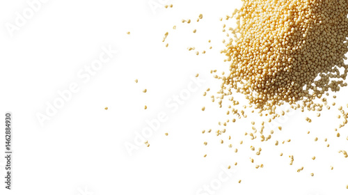 A scattering of millet grains on a clean white background, detailed textures