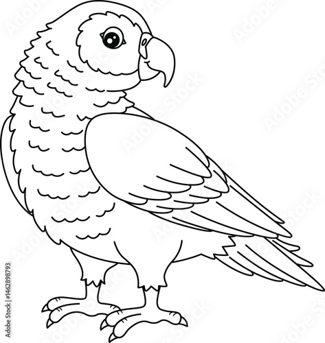 Bird African Grey Parrot Isolated Coloring Page 