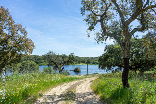 Dirt road leading towards the water of a reservoir in Alentejo, Portugal, capturing the serene beauty of rural landscapes.